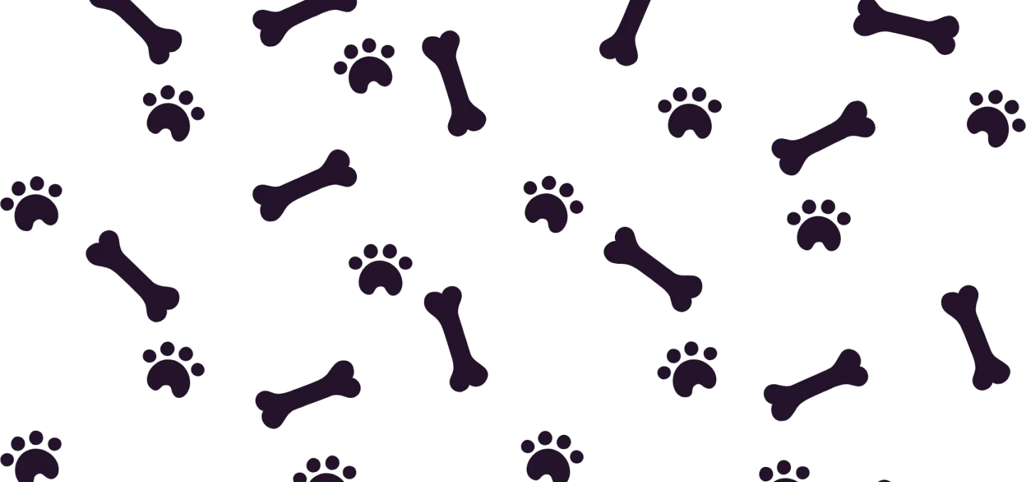 About Us background