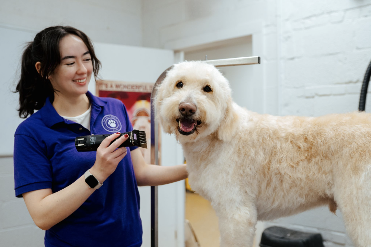 Pet Grooming at Impawsible Pups in Richmond, Virginia