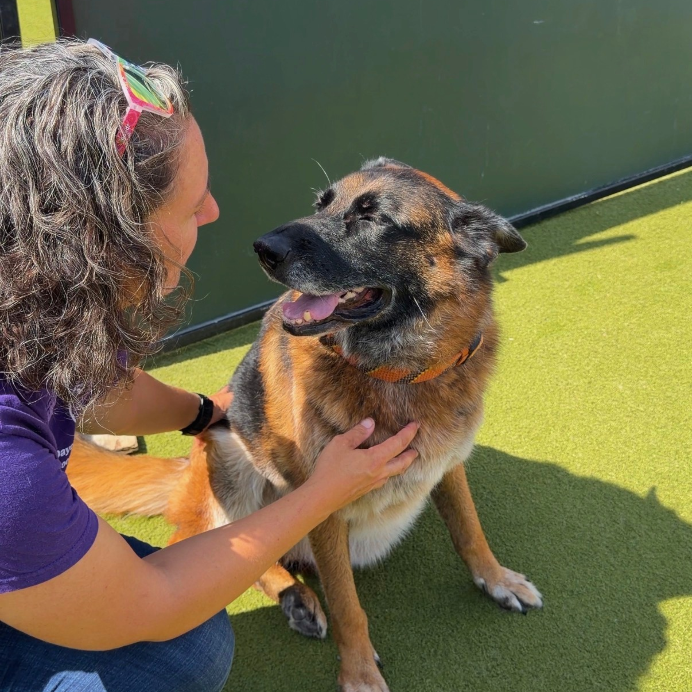 Dog Communication Class Richmond VA